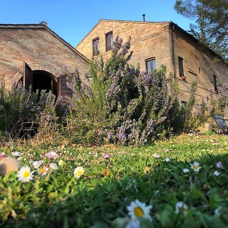 Countryhouse Montebello Vendégház Grottazzolina Kültér fotó