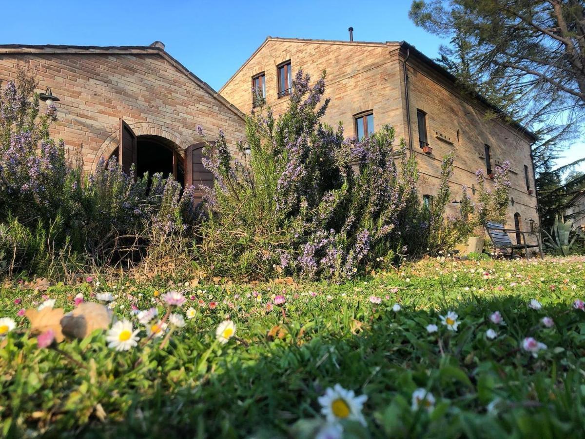 Countryhouse Montebello Vendégház Grottazzolina Kültér fotó